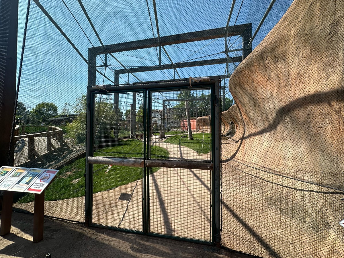 ZOO pro děti