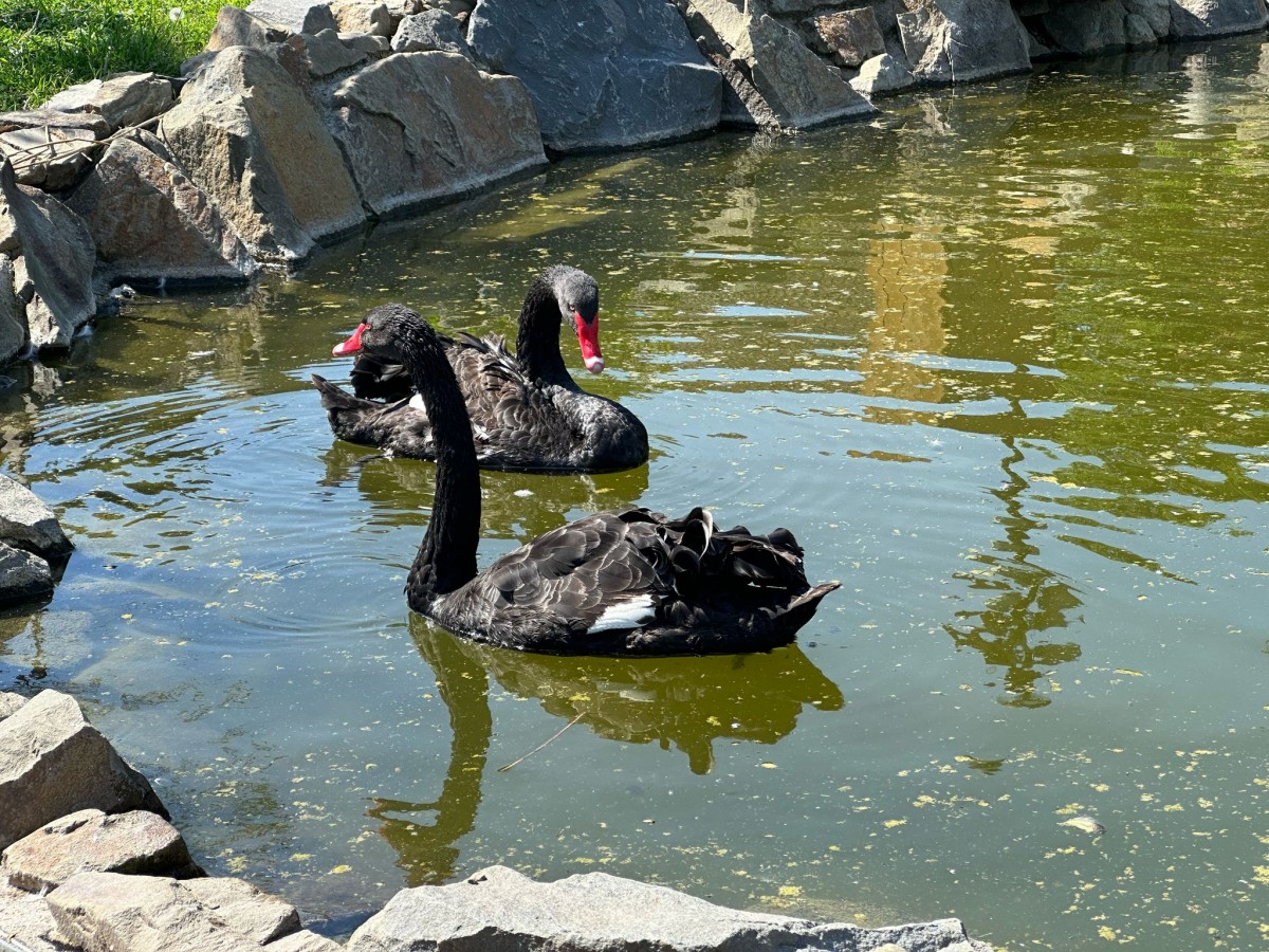 ZOO pro děti