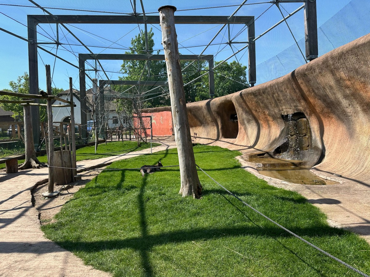 ZOO pro děti