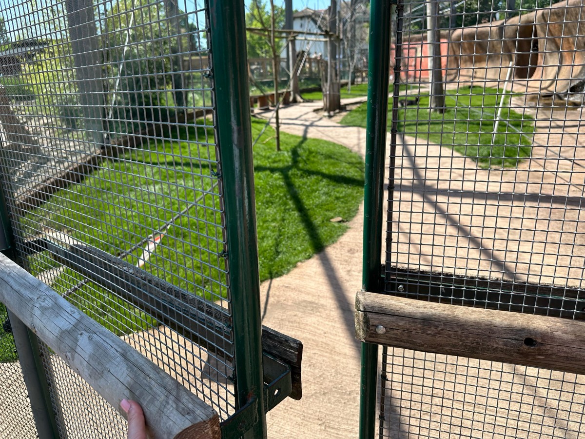 ZOO pro děti