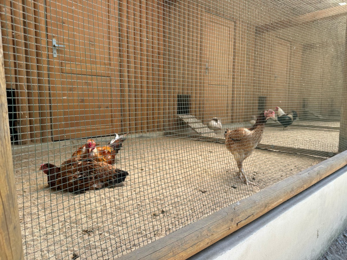 ZOO pro děti