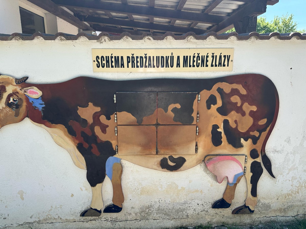 ZOO pro děti