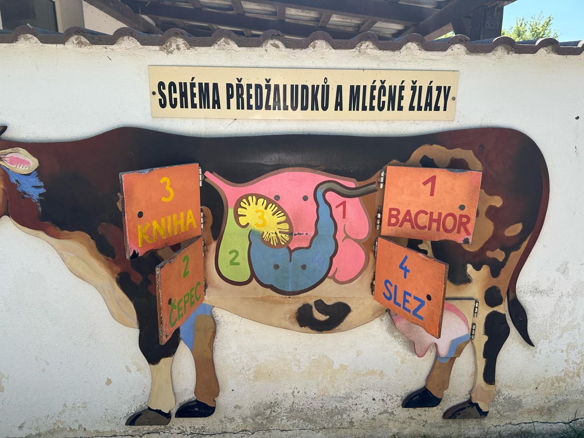 ZOO pro děti