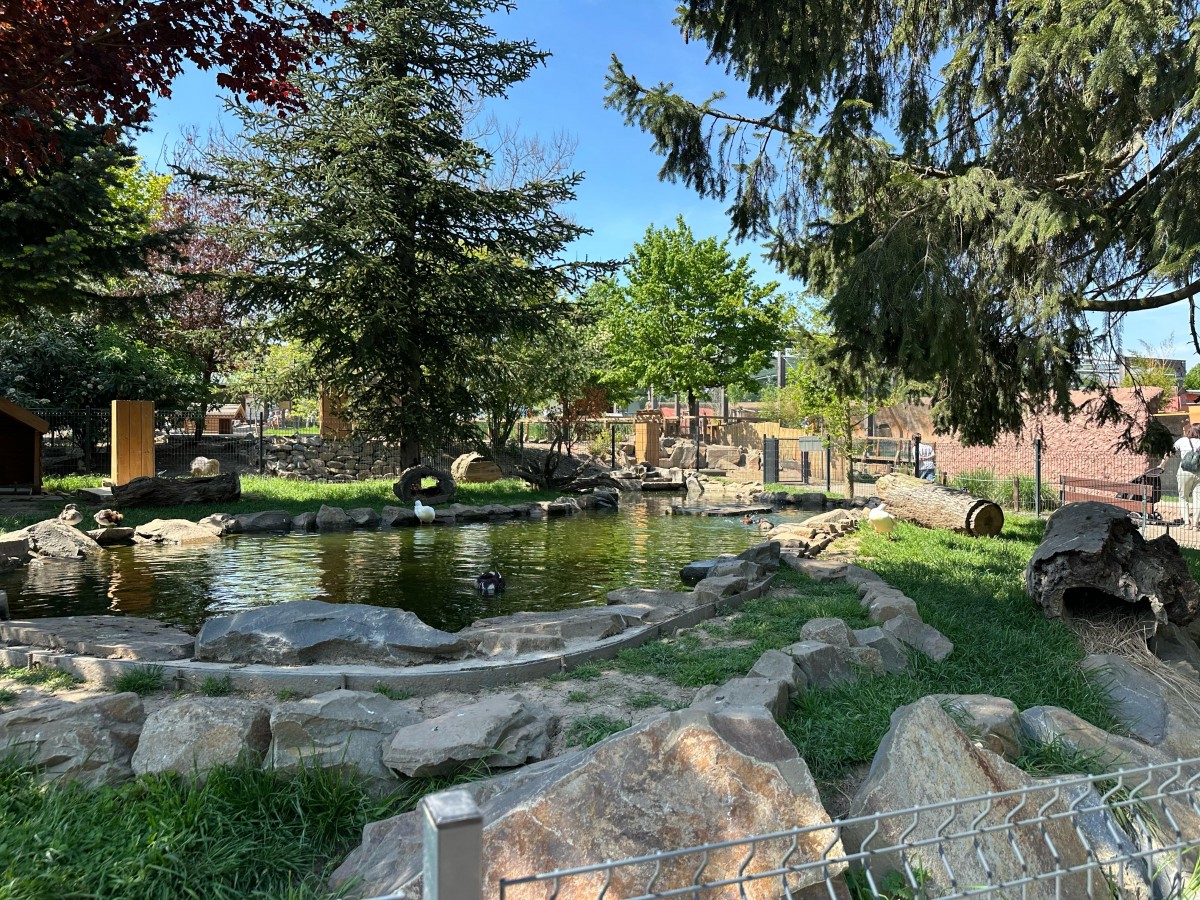 ZOO pro děti