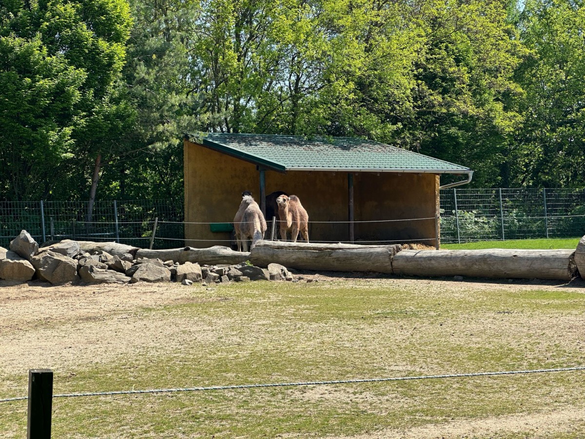 ZOO pro děti