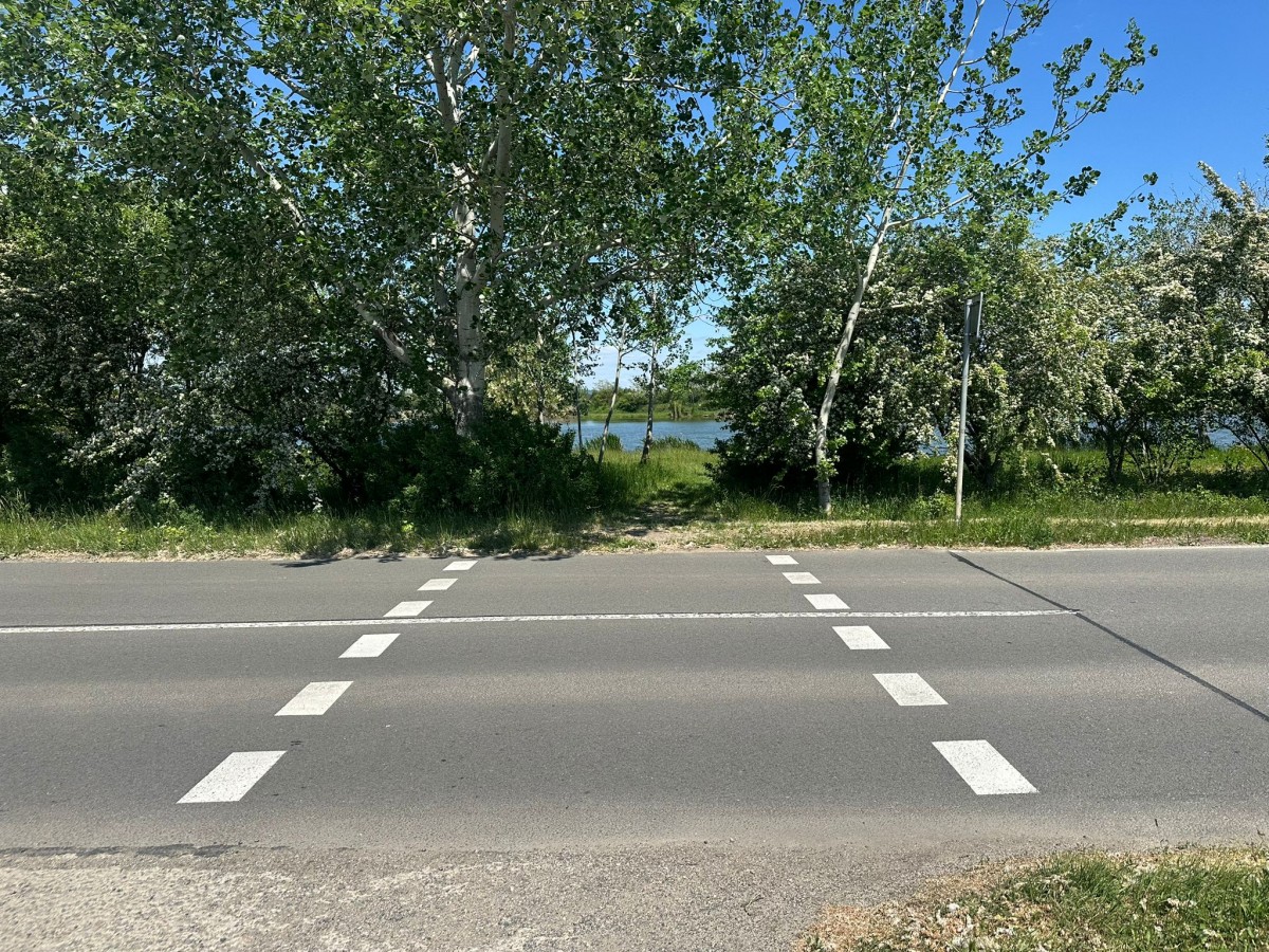 Koupání zadarmo