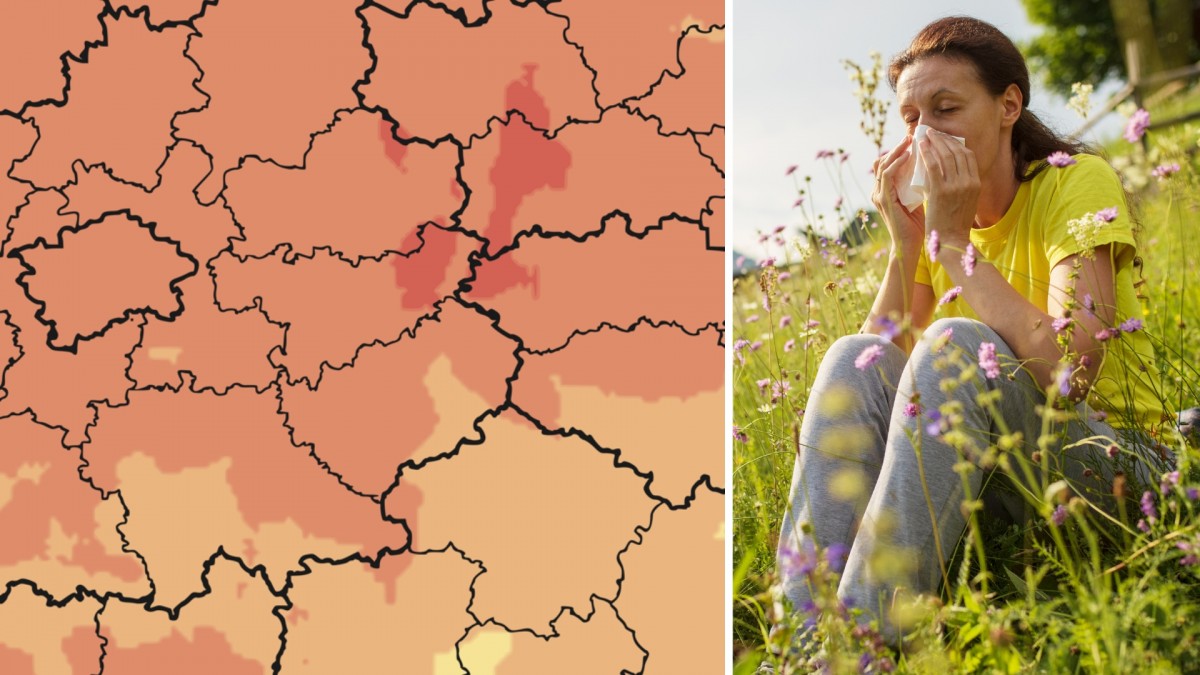 Aktualizovaná mapa toho, kde zrovna nejvíce řádí pyl