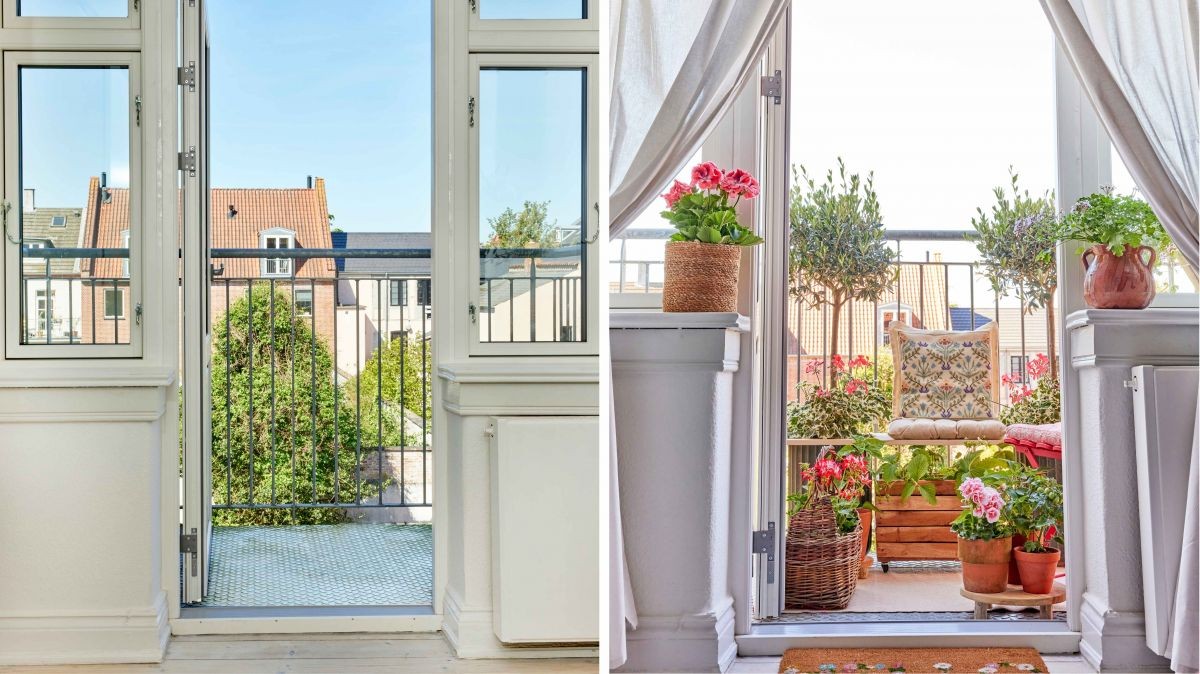 Tipy odborníků pro nejlepší péči o muškáty