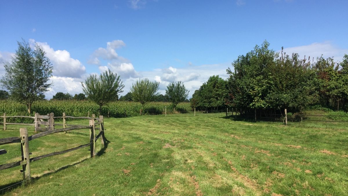 Cena pozemku v roce 1978