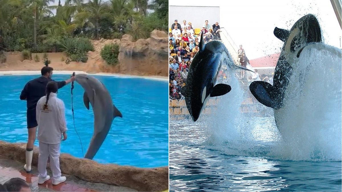 Nejoblíbenější ZOO na světě