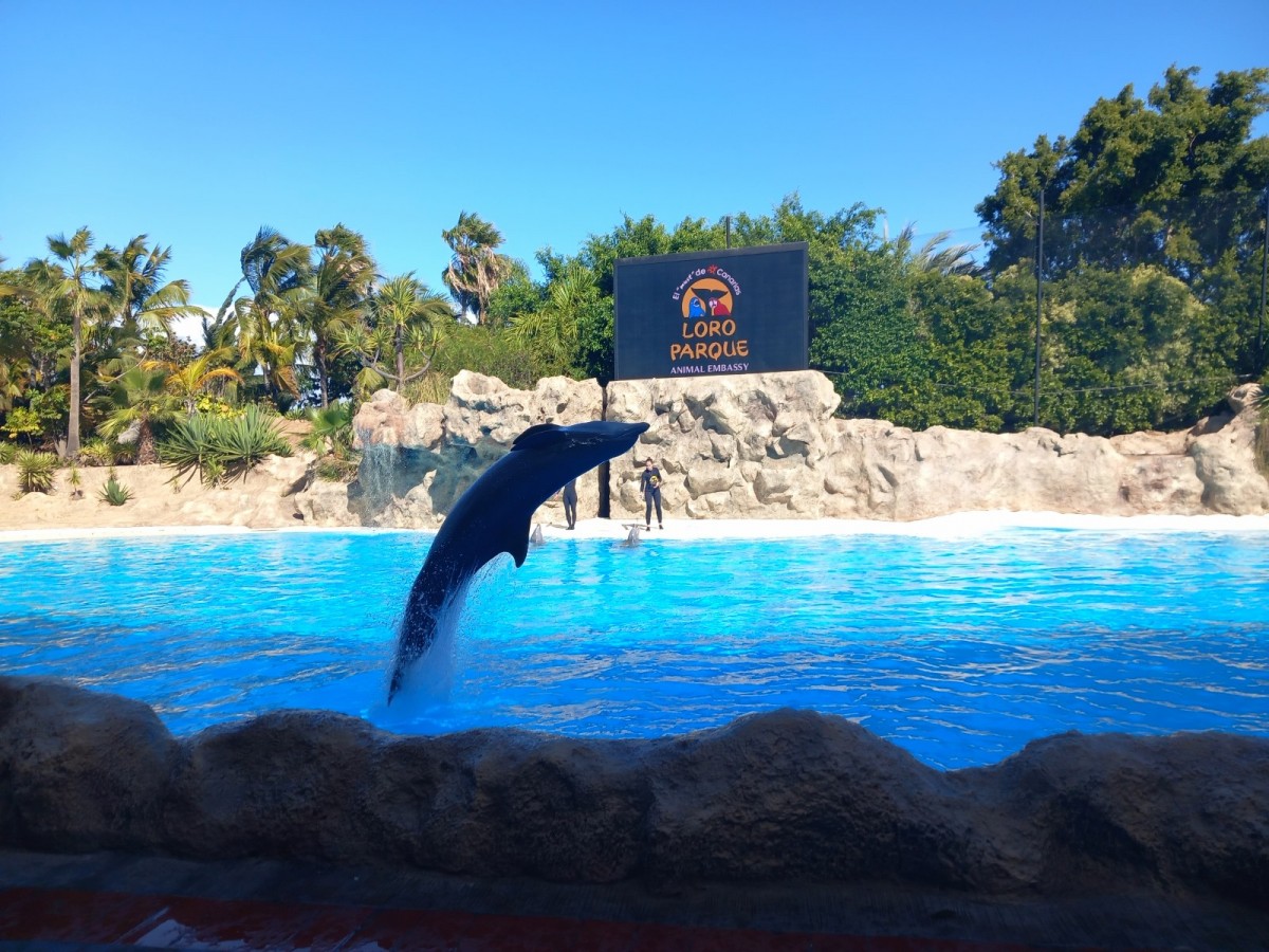 Nejoblíbenější zoo na světě