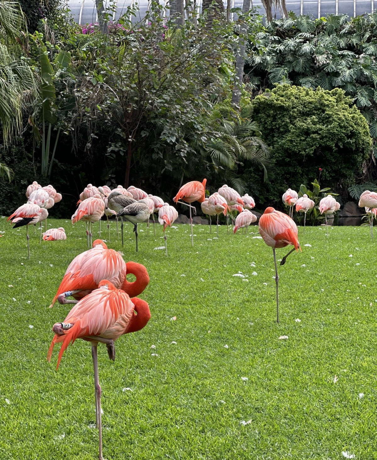 Nejoblíbenější zoo na světě