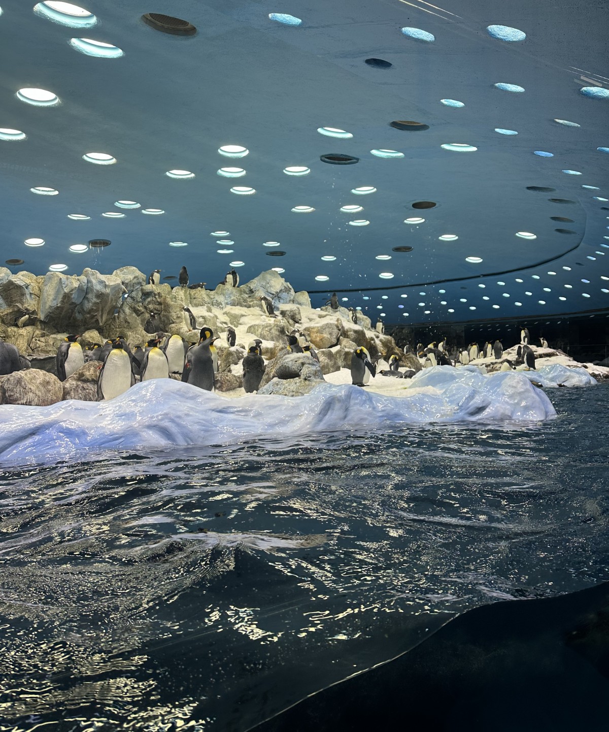Nejoblíbenější zoo na světě
