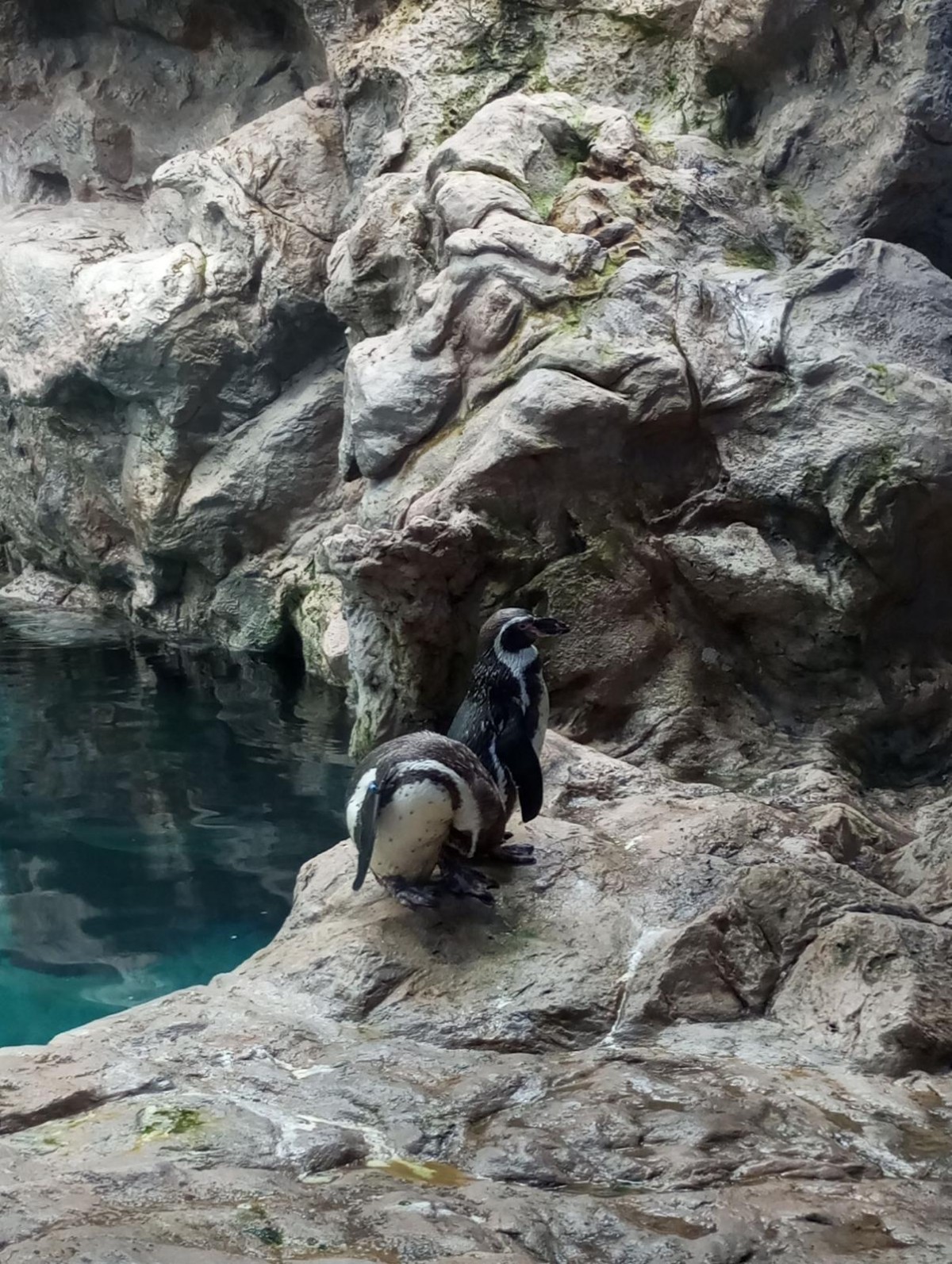 Nejoblíbenější zoo na světě