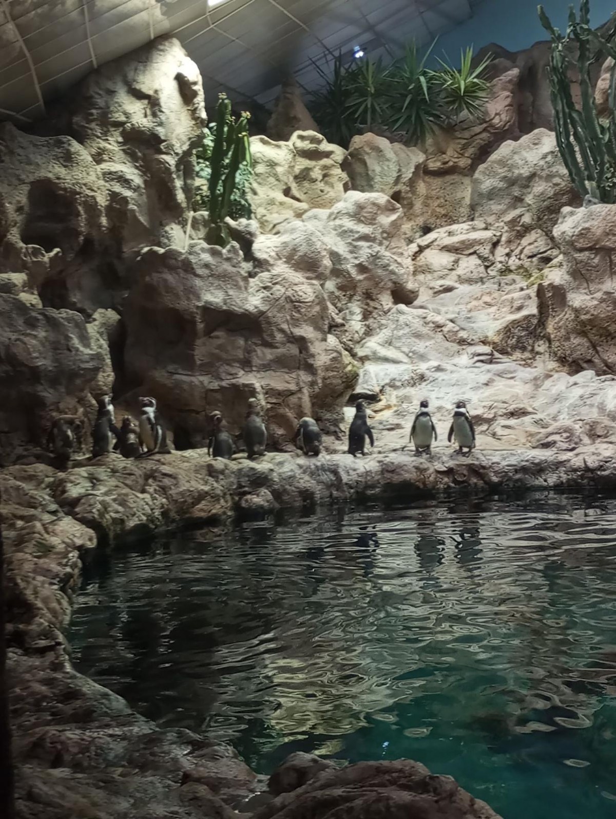 Nejoblíbenější zoo na světě