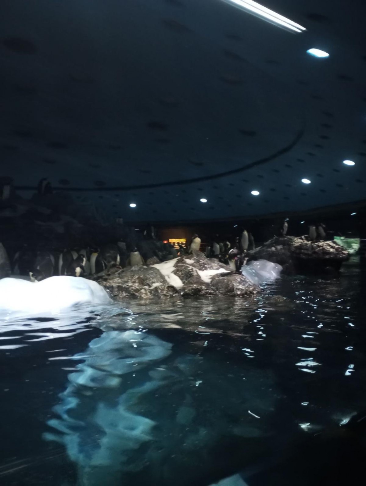 Nejoblíbenější zoo na světě