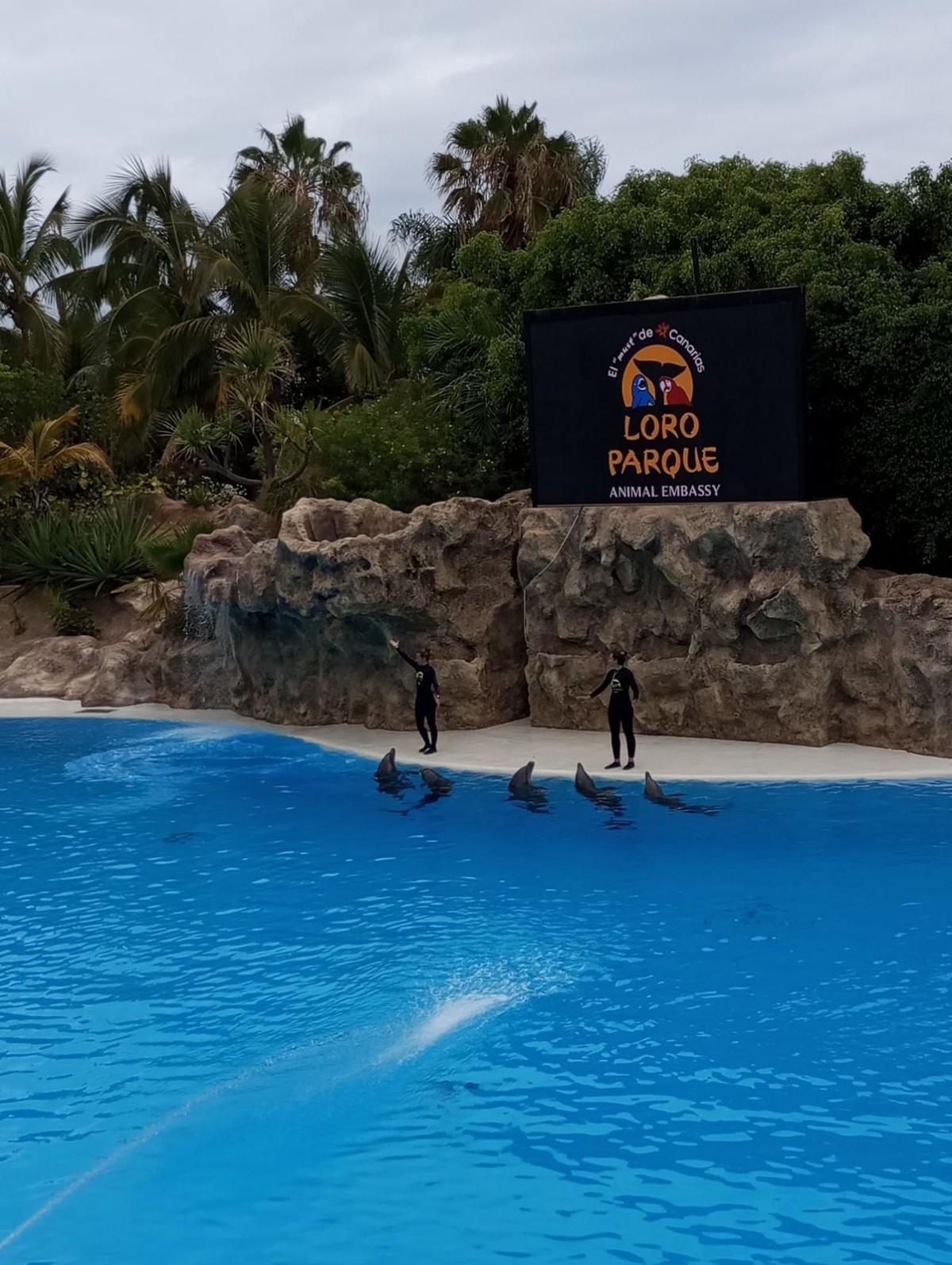 Nejoblíbenější zoo na světě