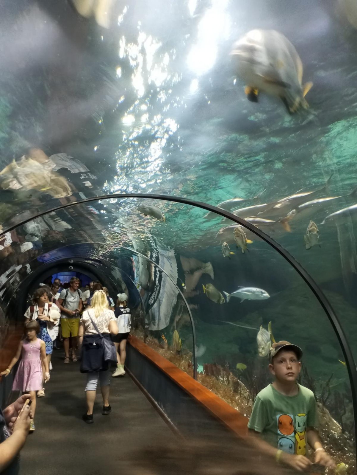 Nejoblíbenější zoo na světě