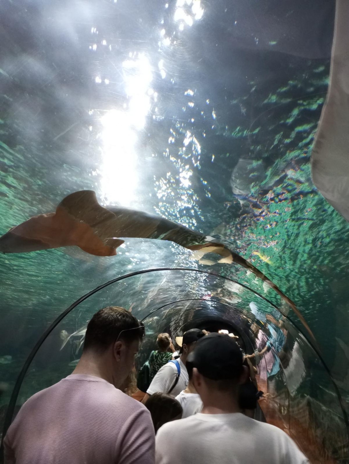 Nejoblíbenější zoo na světě