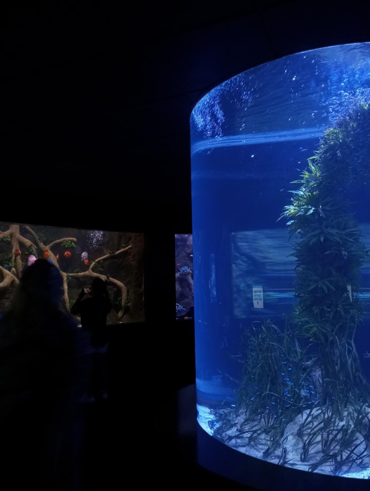 Nejoblíbenější zoo na světě