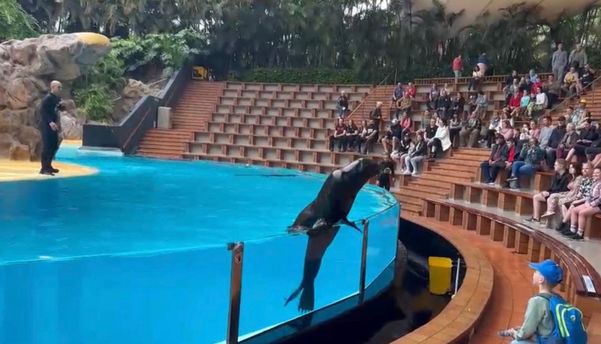 Nejoblíbenější zoo na světě