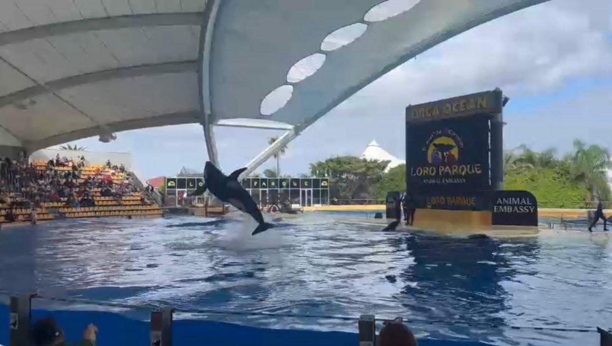 Nejoblíbenější zoo na světě