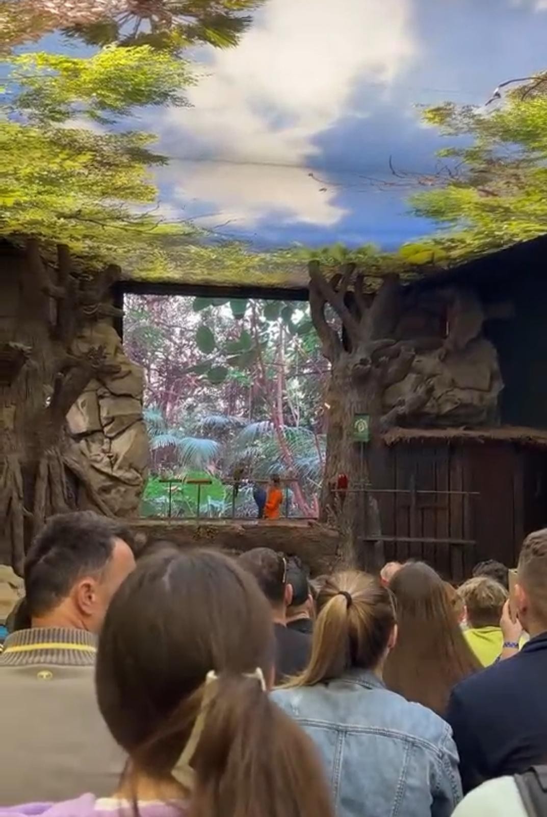 Nejoblíbenější zoo na světě