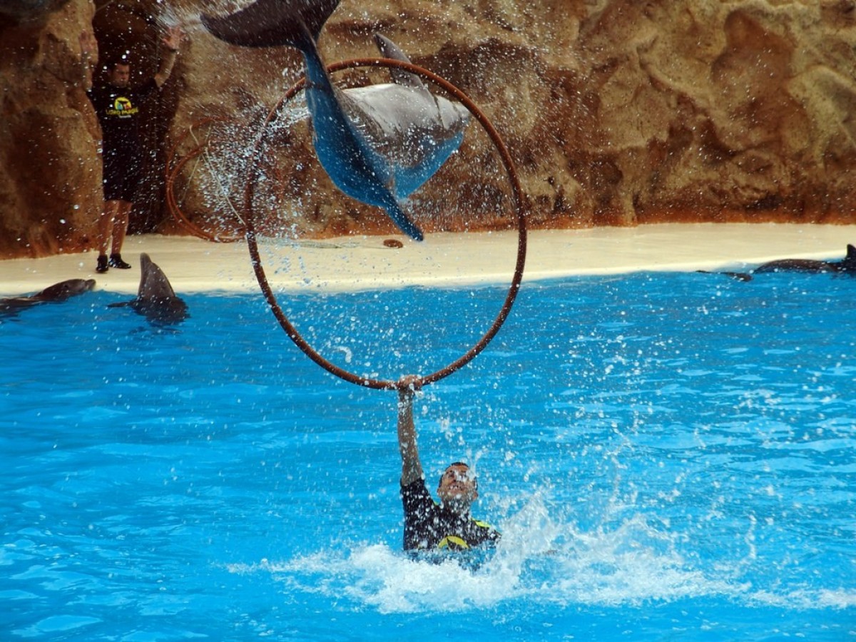 Nejoblíbenější zoo na světě