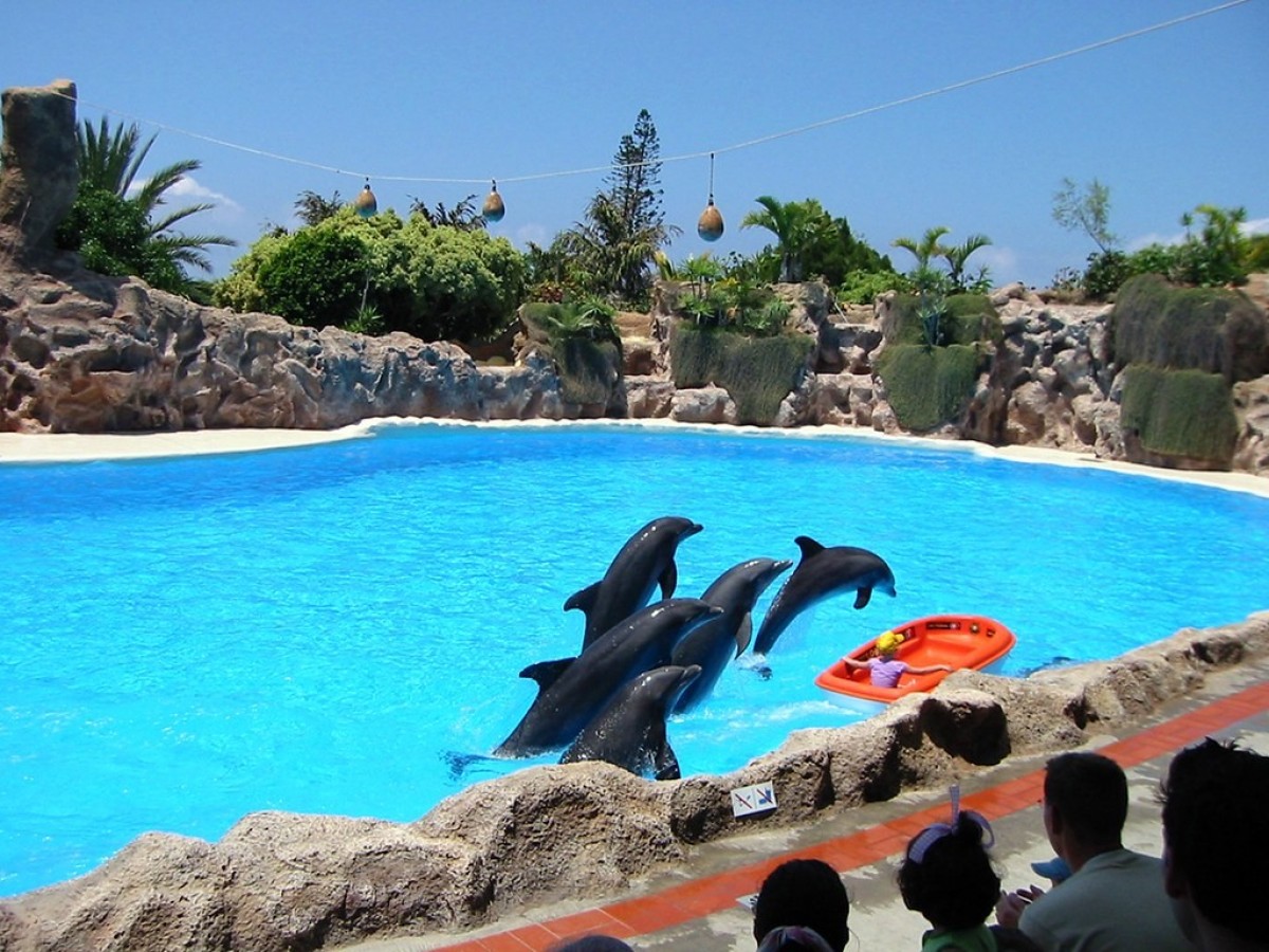 Nejoblíbenější zoo na světě