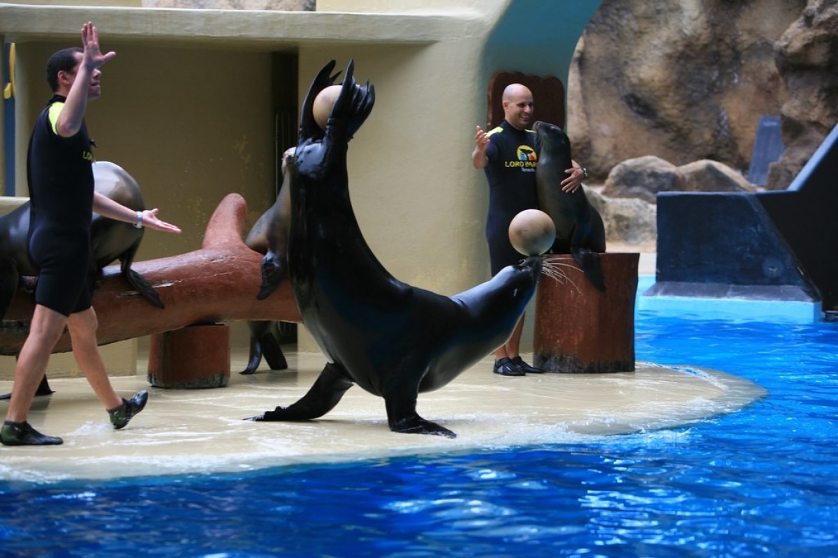 Nejoblíbenější zoo na světě