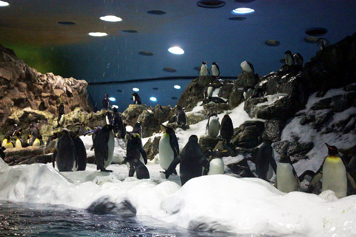 Nejoblíbenější zoo na světě