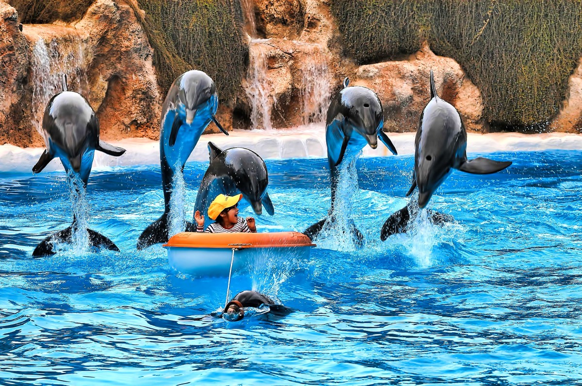 Nejoblíbenější zoo na světě