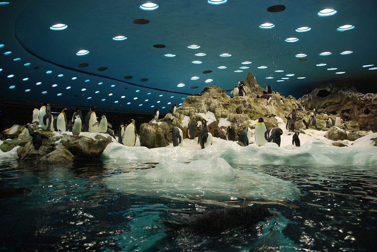 Nejoblíbenější zoo na světě