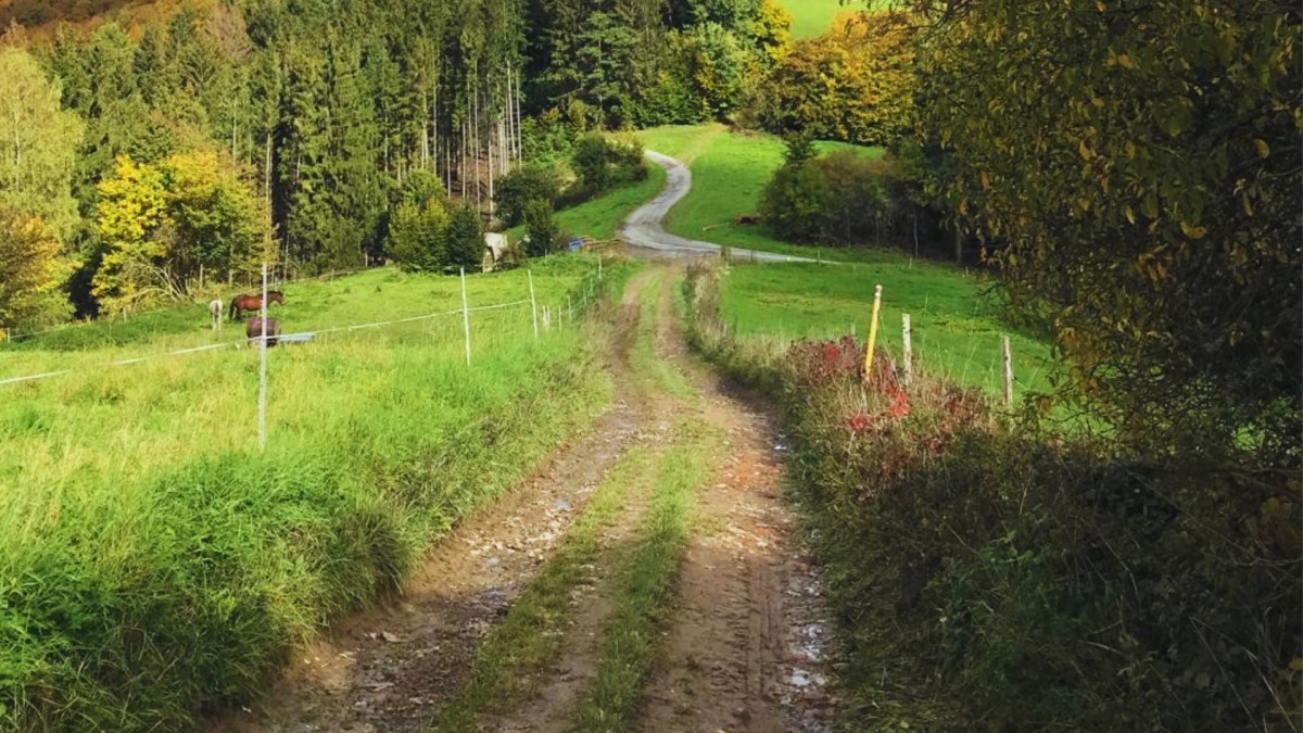 „Při procházce se synem nás málem zastřelili,“ říká Lukáš