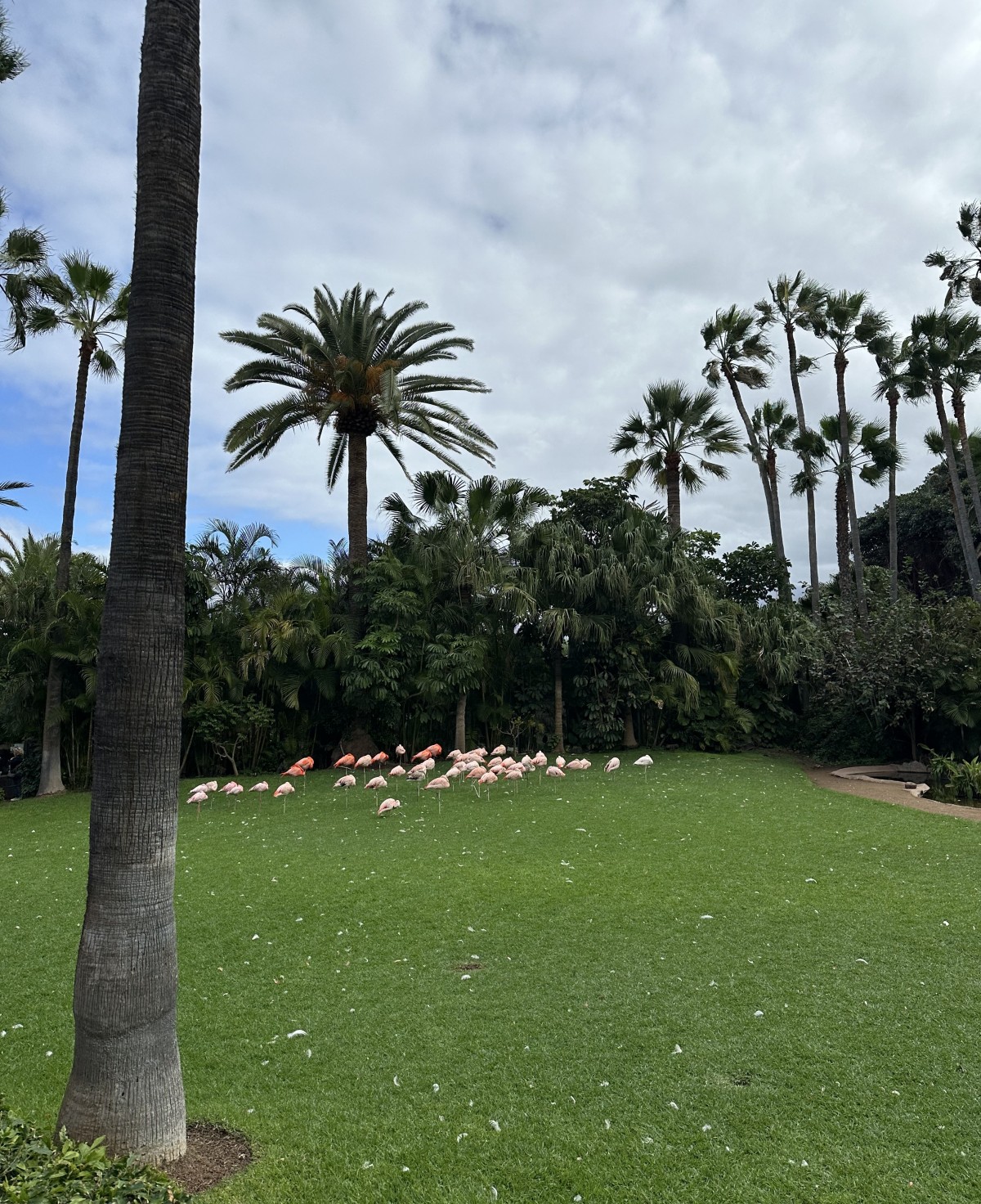 Světoznámá ZOO na Tenerife