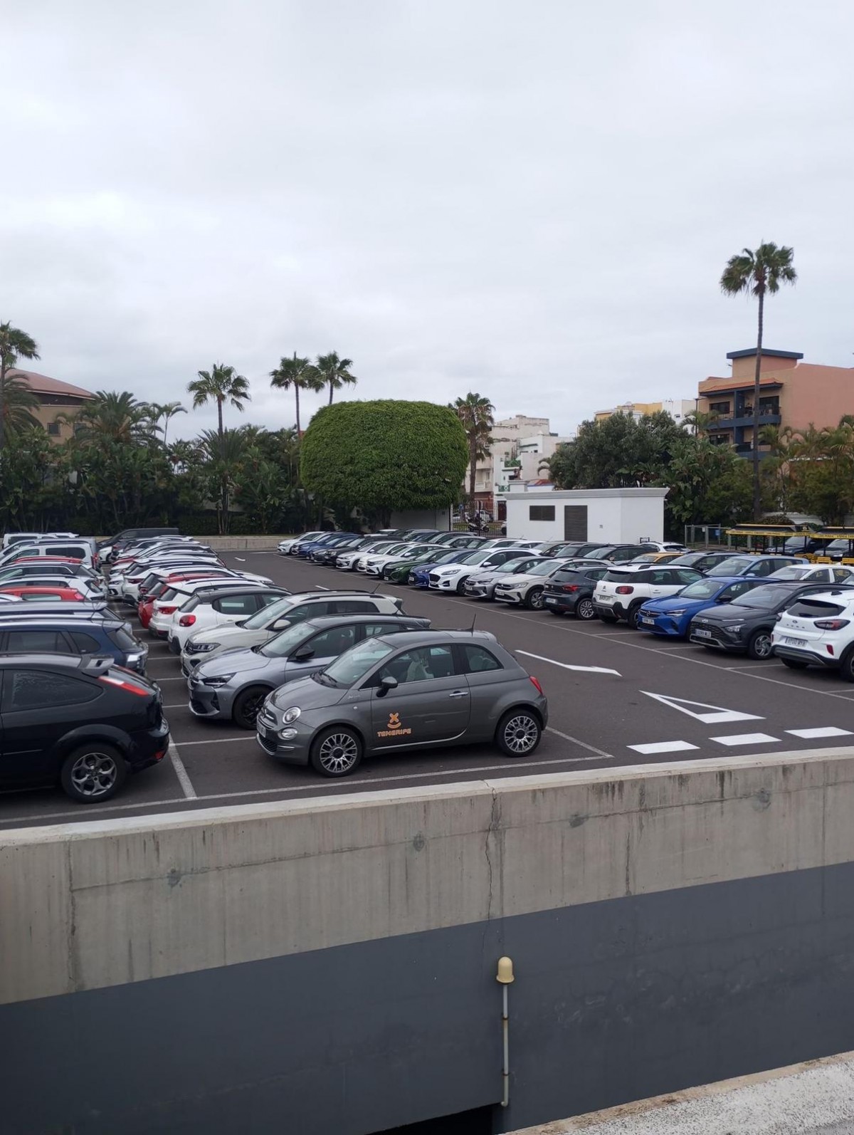Světoznámá ZOO na Tenerife
