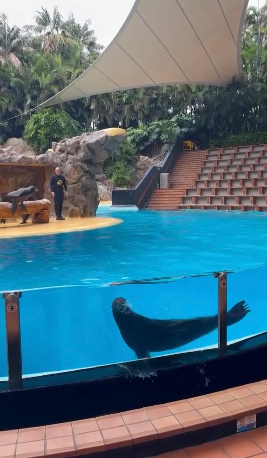 Světoznámá ZOO na Tenerife