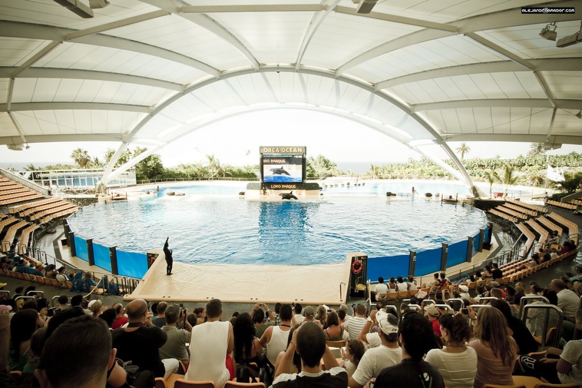 Světoznámá ZOO na Tenerife