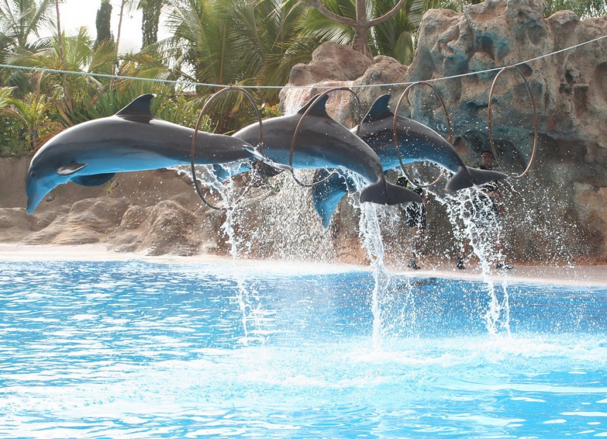 Světoznámá ZOO na Tenerife