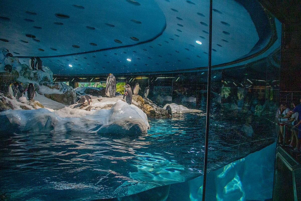 Světoznámá ZOO na Tenerife