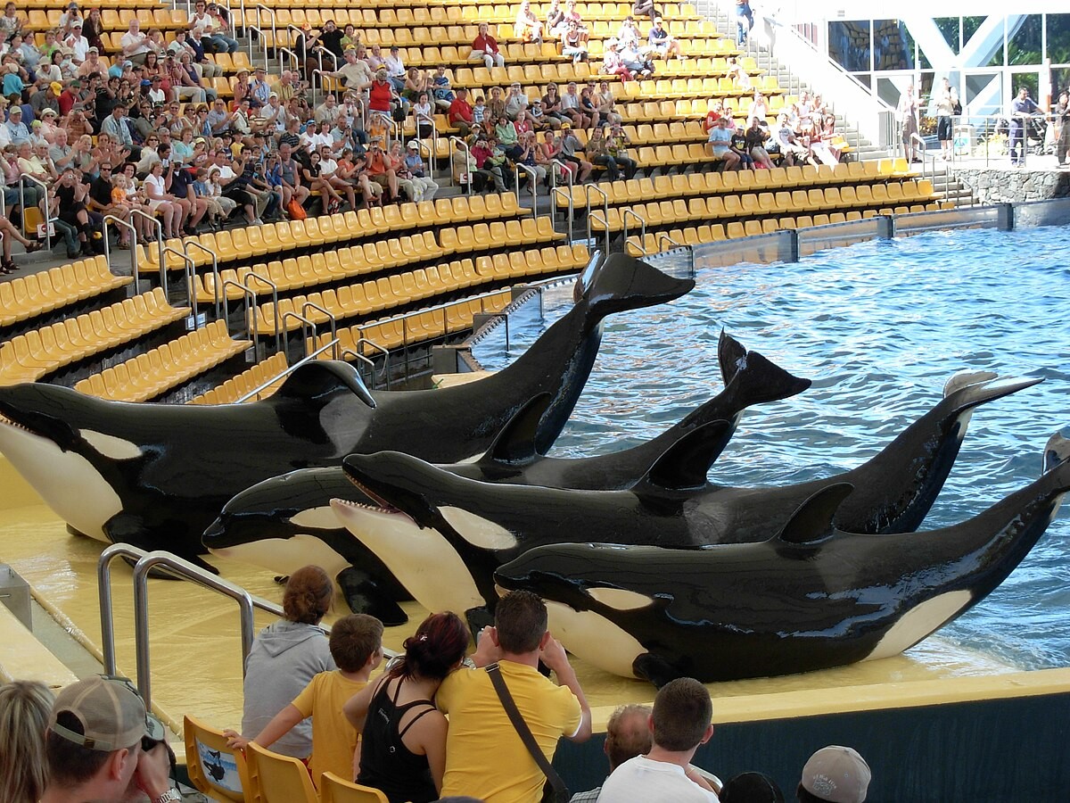 Světoznámá ZOO na Tenerife