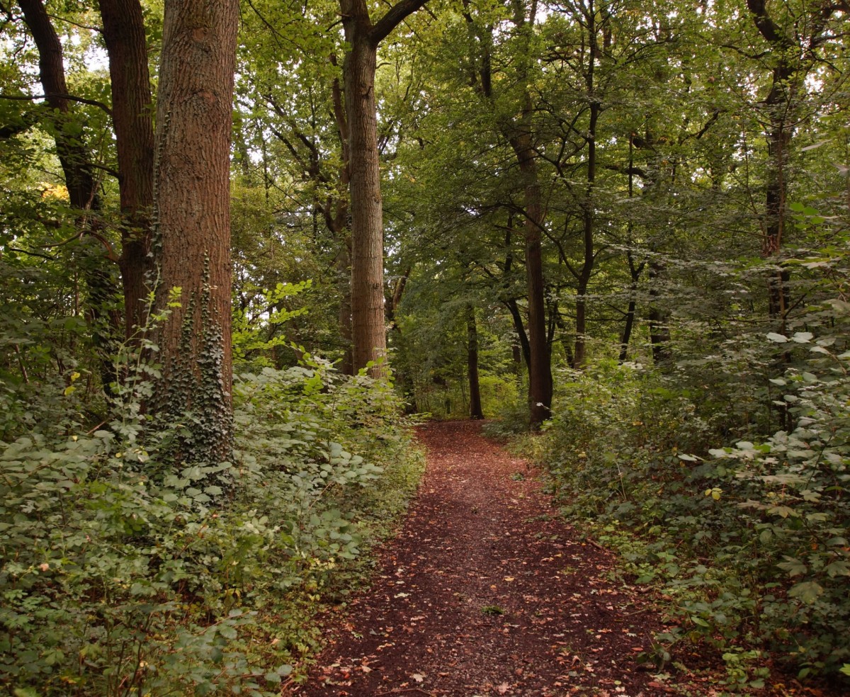 Anna Š. (se souhlasem)