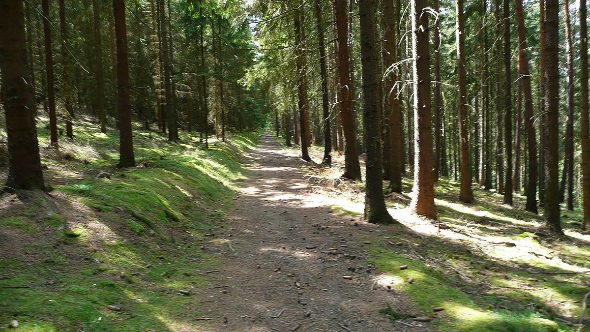 Anna Š. (se souhlasem)