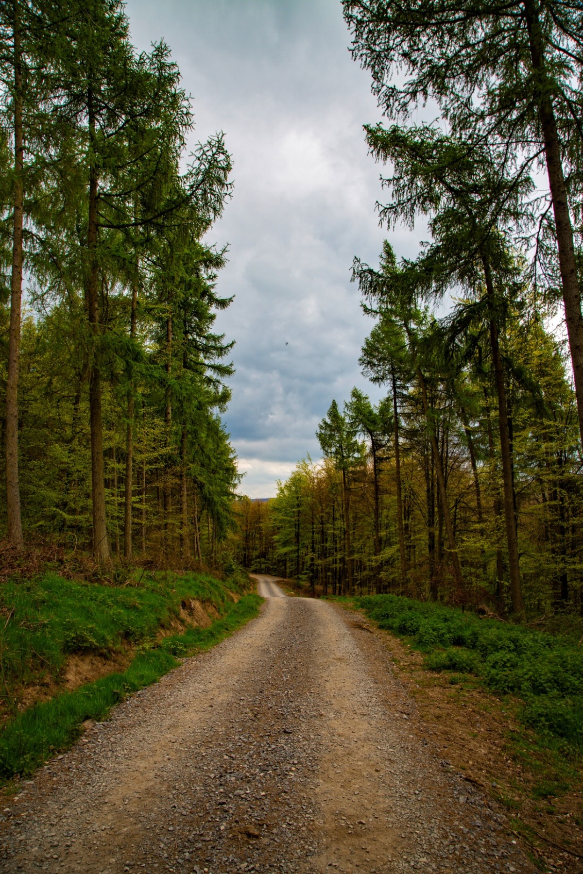 Anna Š. (se souhlasem)