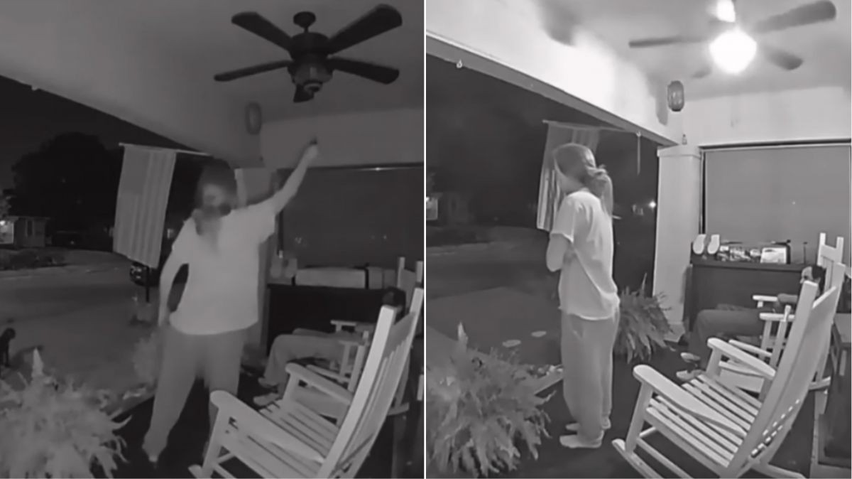 Noční návštěva na terase