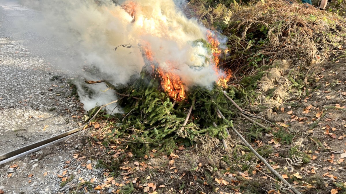 Zákaz pálení listí a větví na zahradě Karla rozčílil. Situaci vyřešil překvapivě snadno