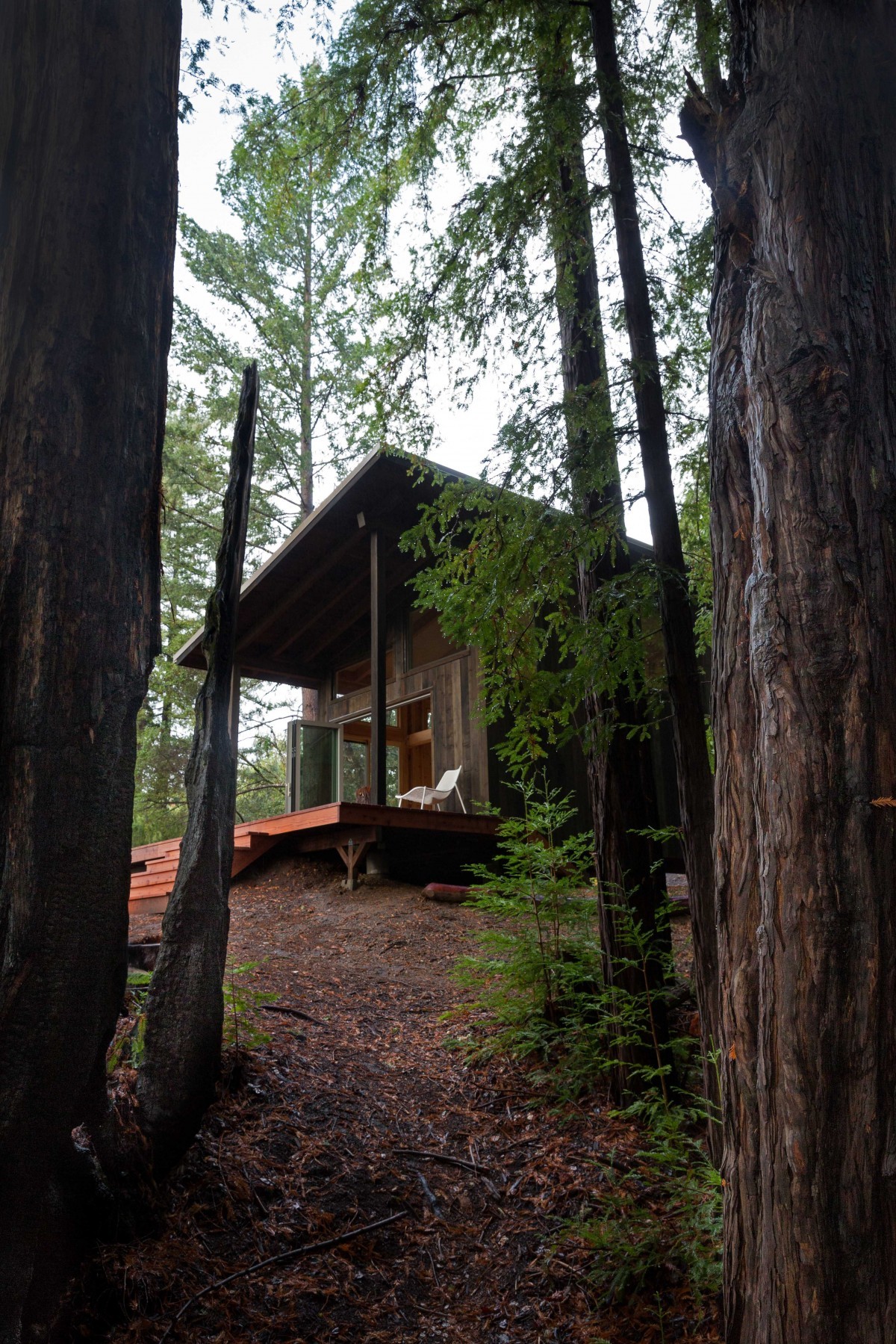 Mladý pár vybudoval chatu bez zkušeností