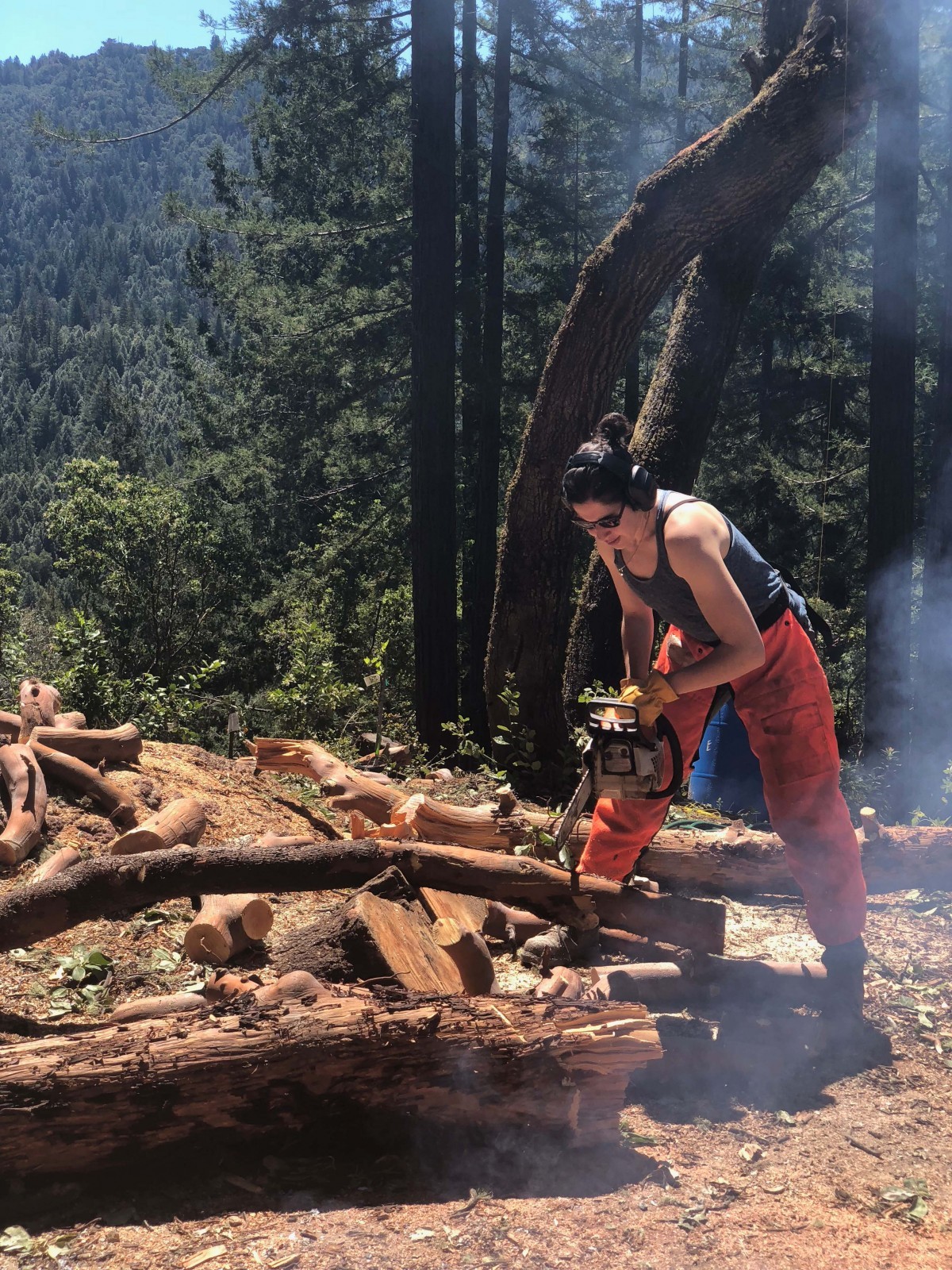 Mladý pár vybudoval chatu bez zkušeností