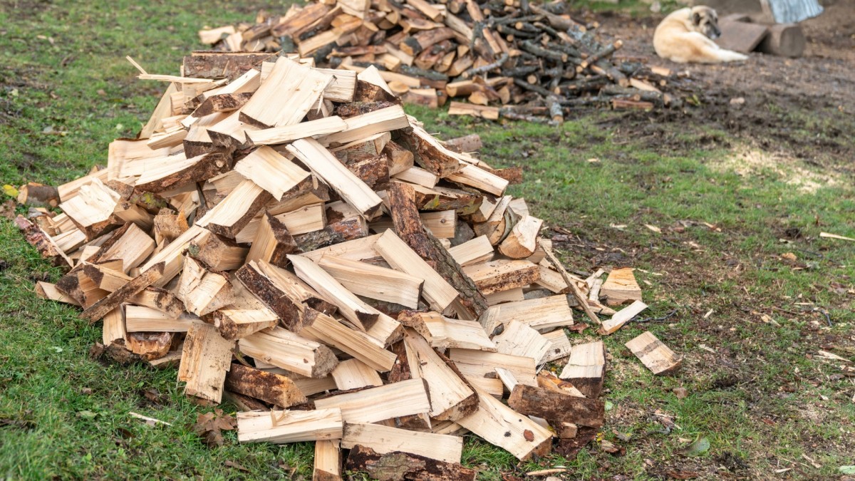 Marie si v dobré víře zničila palivové dřevo