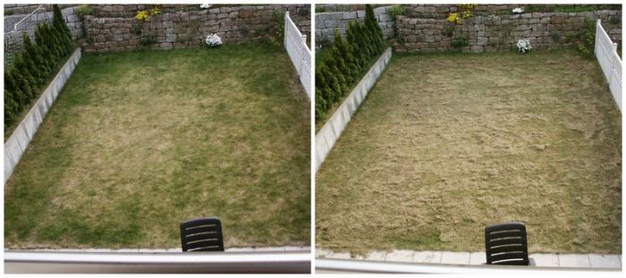 Zahrada před a po vertikulaci trávníku